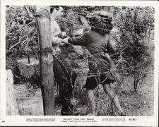 Christine Kaufmann Don Murray Escape from East Berlin 1962 movie photo 46743