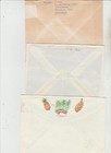 Foto 2 di 2