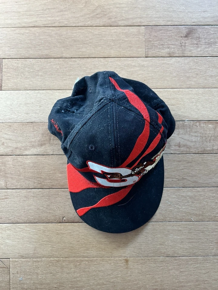 Sombrero Dale Earnhardt Taz Diablo de Tasmania Snapback Años 90 De Colección NASCAR Looney Tunes Foto 2 de 4