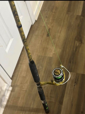Cat Hunter Pro Rod and Reel