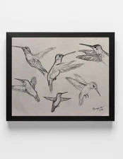 GUAJARDO Original Sketch of Variety Hummingbird Angles 11X8.5 Paper Signed Art