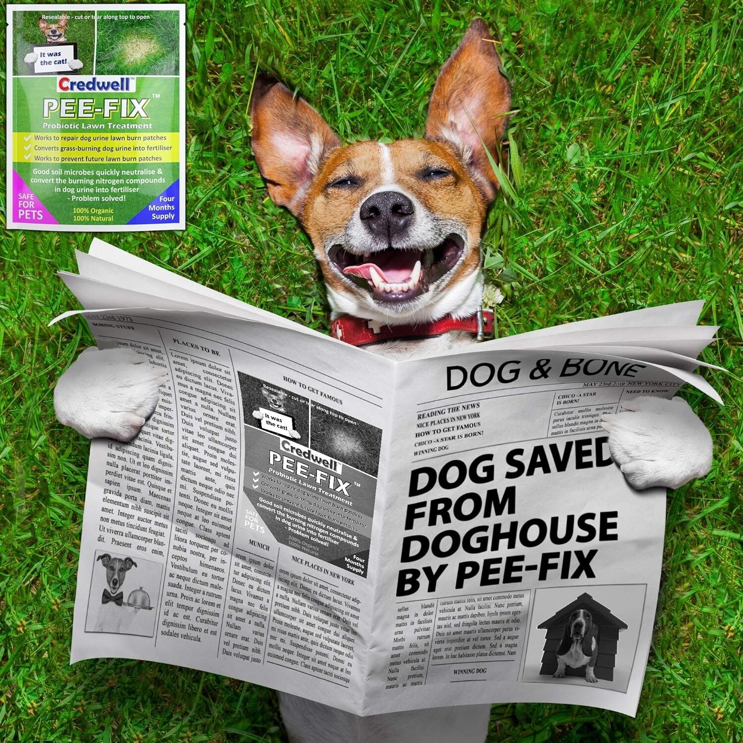 PEEFIX dog urine neutraliser grass lawn patch repair treatment eBay