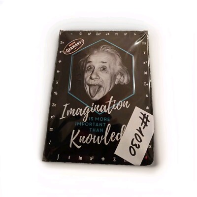 Blechschild - Albert Einstein - Nostalgic Art 20 x 15 cm - Retro Vintage - NEU