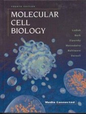 Molecular Cell Biology - Hardcover By Lodish,...