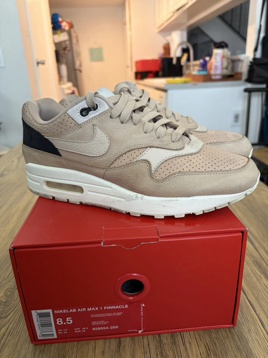 NikeLab Air Max 1 Pinnacle Mushroom for Sale | Authenticity