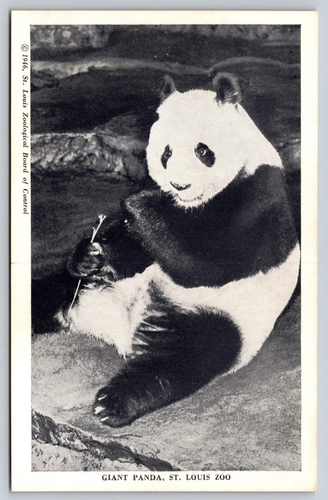 Postcard Saint Louis Zoological Gardens Missouri MO Set of 12 w Envelope 1940's - Picture 21 of 24