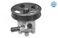 Meyle Servopumpe Lenkung Hydraulisch FüR Nissan X-Trail T30 36-14 631 0004
