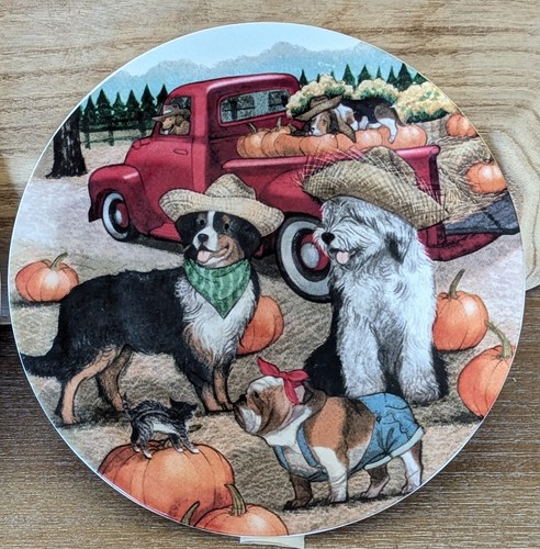 Pier 1 Ironstone Harvest Pups Salad Plate Park Avenue Puppies Pumpkin Dog (2) - Picture 2 of 7