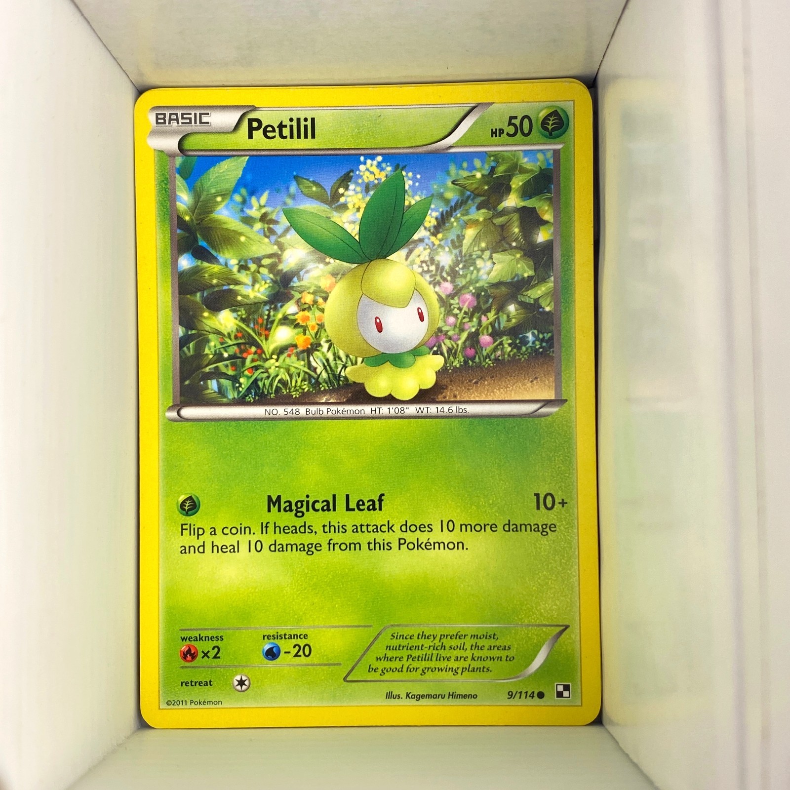 Petilil 9/114, Black & White Base Set, English