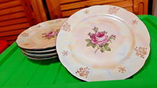 Eßteller 6Stck Kahla DDR Porzellan Perlmutt Rose -80iger 20.Jh- Vintage G