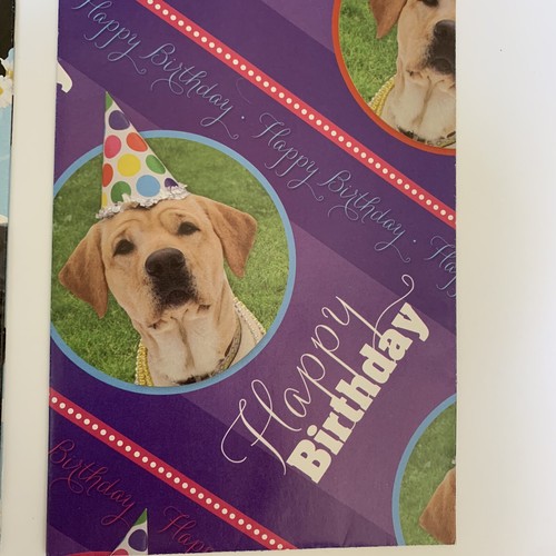 De Colección Papel de Envolver Navidad Invierno Cachorros Pertrievers Pastor Muñecos de Nieve Oso X4 - Imagen 5 de 7