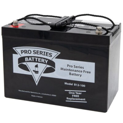 Pro Series 12-Volt 100-Amp Hour Maintenance Free AGM Standby Battery