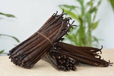 Vanilla Beans Grade A Plus Extract Bourbon Whole 5-6 Inches Moisture Fresh Pods