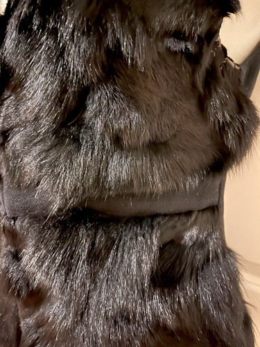 The Cue Black Fox Fur / Cashmere Vest-Sz- S~ STYLISH~ - Picture 4 of 12