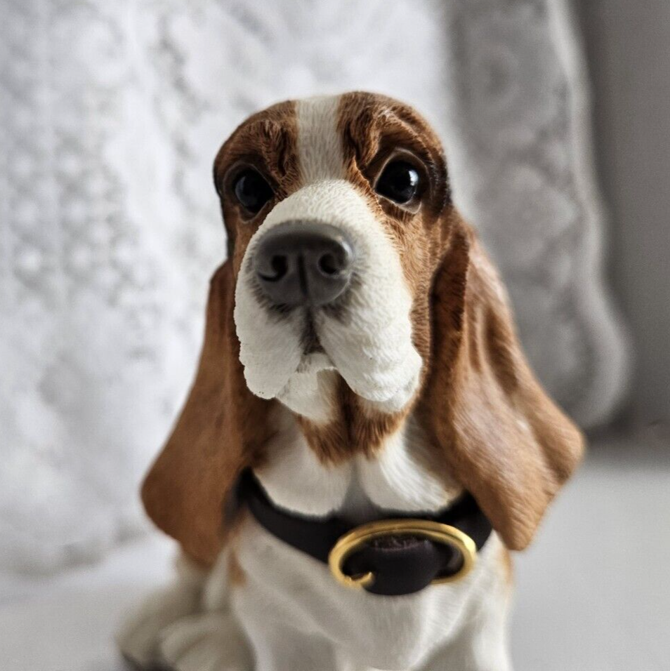 Barkers Hand Painted Bassett Hound Bertram Paw Print Collection eBay