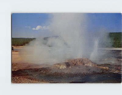 #ad Postcard Jet Geyser Lower Geyser Basin Yellowstone Park Wyoming USA $3.49