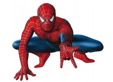 Superhero Essbar SuperHero Web Tortenaufleger Torte Geburtstag + TEXT