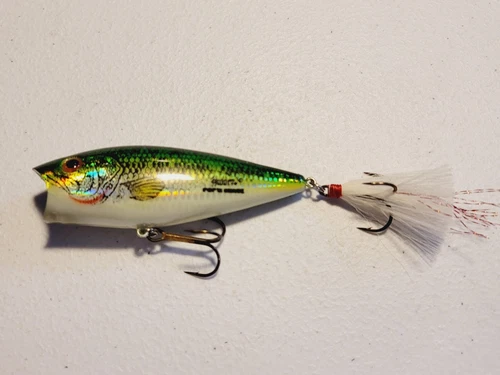 Discontinued Bill Dance Heddon Pop'N Image Topwater Popper Baby Bass 3"
