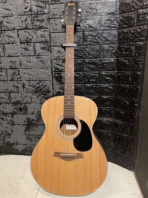 Guitare acoustique folk Fiesta par Aria FST-F65/NA couleur