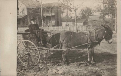 SOUTHERN PINES NORTH CAROLINA NC Old Man in Donkey Cart Antique RPPC
