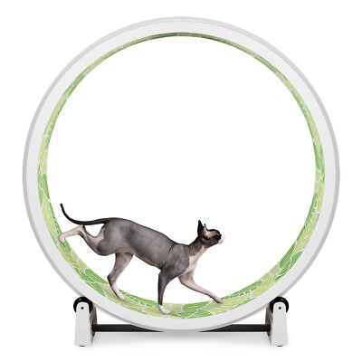 One Fast Cat Exercise Wheel - Gen 7 - 48