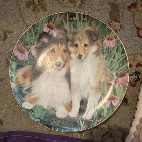 Danbury Mint Sheltie Shetland Sheepdog Porcelain Collector Plate Floral Fun