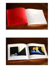 MONOBLOC Art Photography Book Vietnam Neil Massey Signed VERY RARE Edition Of 5