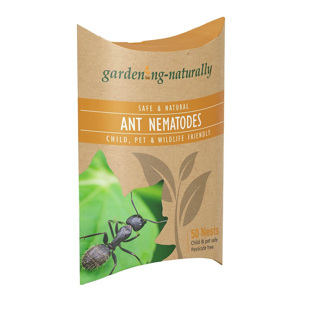Ant Nematodes Ant Killer Treats 50 Nests (Treats 50 sq.m)  Natural Pet friendly