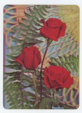Red Roses 1960's Vari-Vue Lenticular 3-D Postcard
