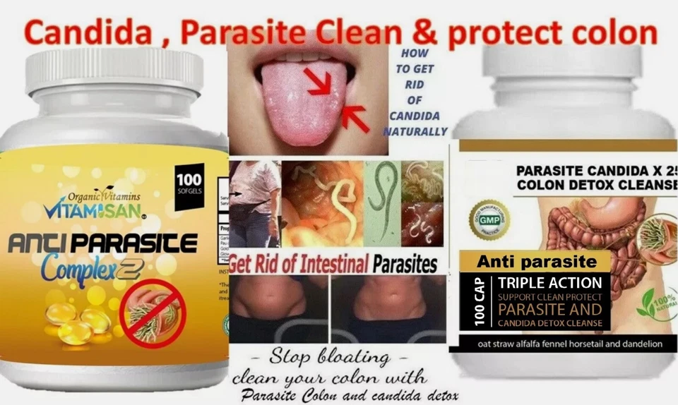 Kit avanzado de limpieza intestinal de parásitos y gusanos para humanos  Foto 3 de 4