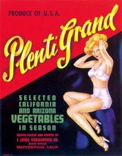 PLENTI GRAND VEGETABLE CALIFORNIA BLONDE GIRL VINTAGE POSTER REPRO FREE S/H