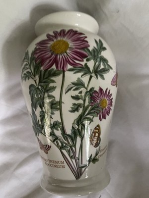 Older Portmeirion Botanic Garden Vase Chrysanthemum Canton 8  England
