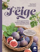 Die Feige Kulturgeschichte, Anbau & Pflege Einer Besonderen Frucht Liedmeier