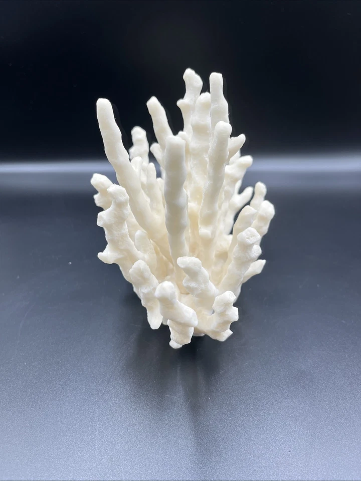 Sonoma Life & Style Decorativo Imitación Rama Bush Coral Costero Crema Foto 2 de 4