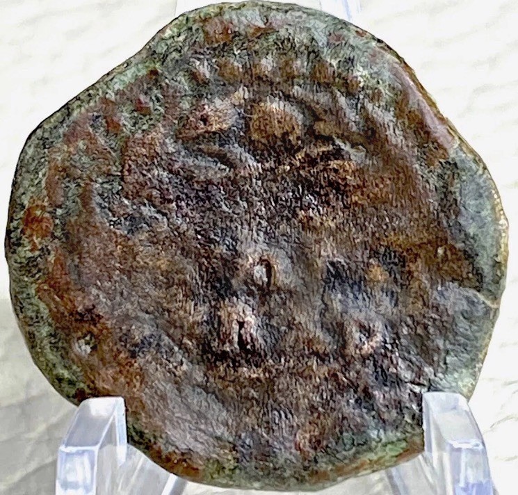 14BC-10BC Ancient Roman Coin Emperor Octavian Augustus Julia Traducta Genuine