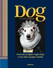 Dog: Portraits of Eighty-Eight Dogs and One Little Naughty Rabbit by Tein Lucass