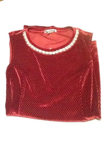 Dressbarn Woman Faux Velour Top BURGUND ärmellos Schmucksteinen besetzt 1X 2X 3X Urlaub neu - Bild 9 von 12