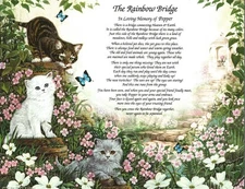 THE RAINBOW BRIDGE Pet Memorial Poem Gift for Loss of Your Beloved Cat/ Kittens