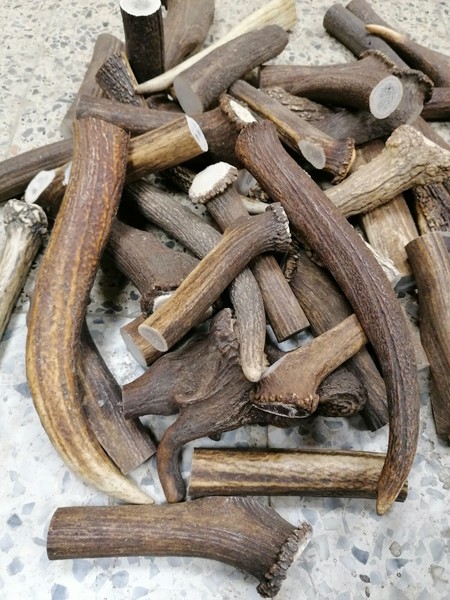Cepillo De Dientes Para Perros