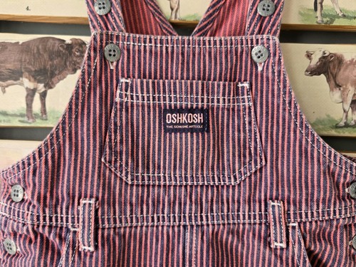 OSHKOSH B'GOSH STRIPED DENIM OVERALL JUMPER DRESS Girl's Size 4T - Picture 7 of 11