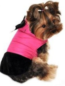 simply dog dog apparel