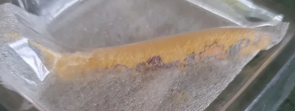 lHERPA WINGS 500470  BOEING 737-300  THE SIMPSONS 1:500 SCALE DIECAST PLANE MIB  - Image 3 of 4