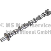 NEU - Kolbenschmidt 50007012 Nockenwelle FüR CitroËN Passend FüR Fiat Lancia