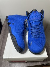 lebron 11 suede