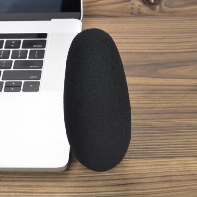 Coprispugna Per Microfoni Zoom H2N, H4N Pro, H5, H6, H8 - Antivento E Antipolvere