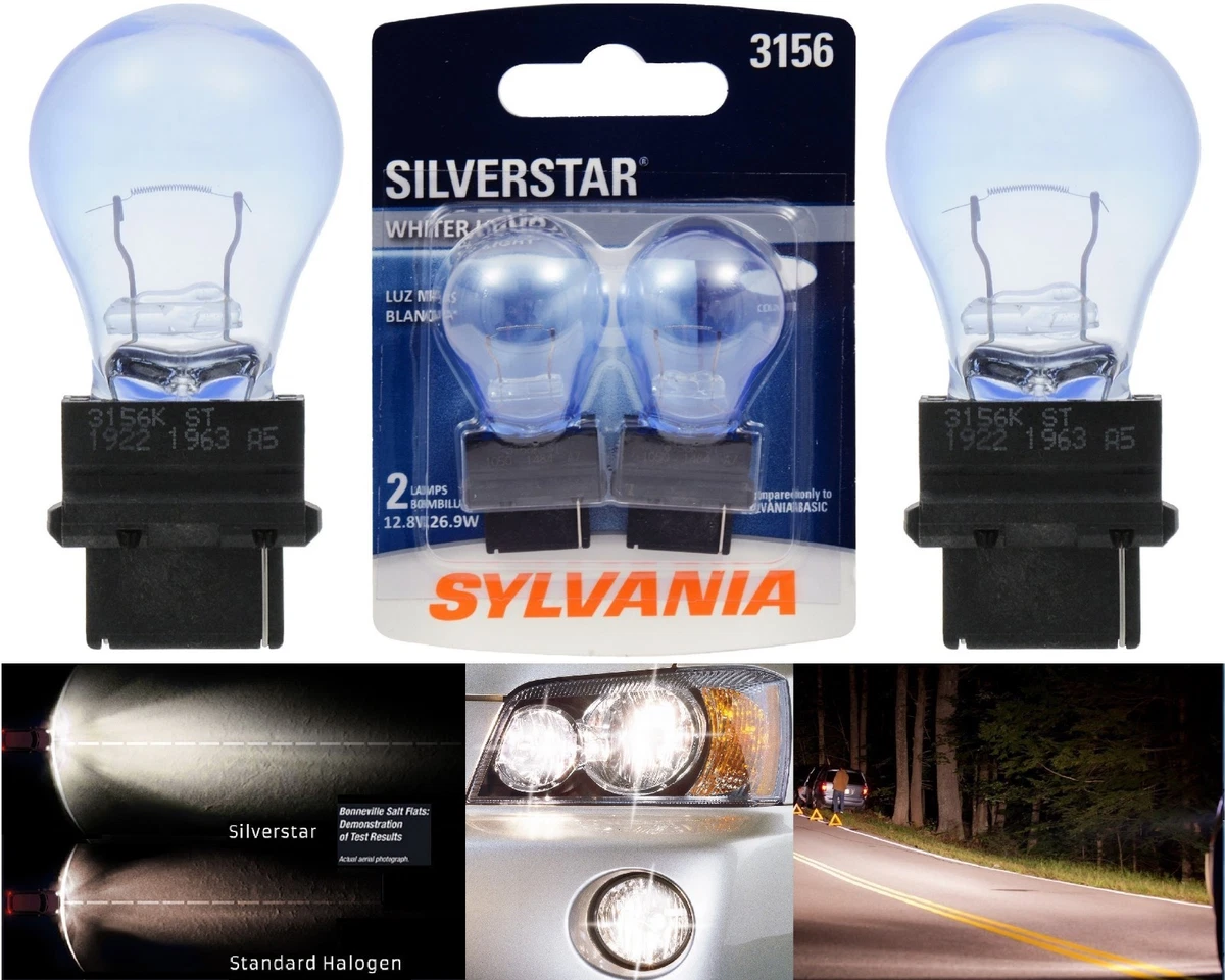 Sylvania Tail Light Bulb Guide Shelly Lighting