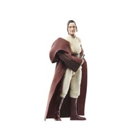Star Wars: The Acolyte Black Series Actionfigur Jedi Master Indara 15 Cm