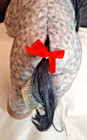 Build-A-Bear Appaloosa Horse Stuffed Plush Spotted Gray, Black Mane  — photo 6