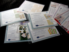 CREATIVE MEMORIES STICKERS Holiday, Summer Fun, Months of the Year, Sticker pack