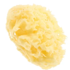 Children's Bathing Tool Sponges for Kids Water Play Cute Baby Shower